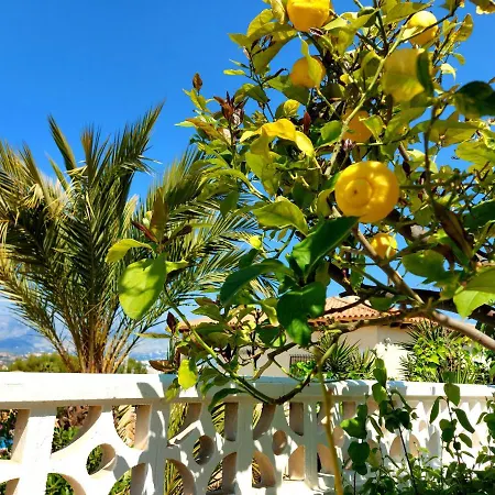 Albir * El Albir